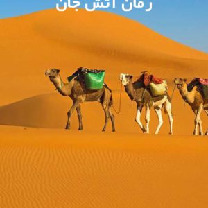 دانلود رمان آتش جان