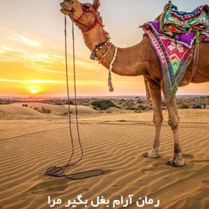 دانلود رمان آرام بغل بگیر مرا