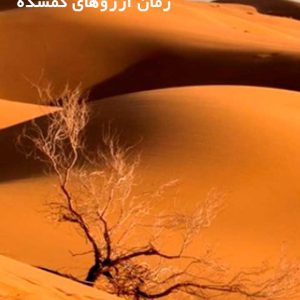 دانلود رمان آرزوهای گمشده