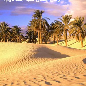 دانلود رمان آسمان شب (جلد دوم)