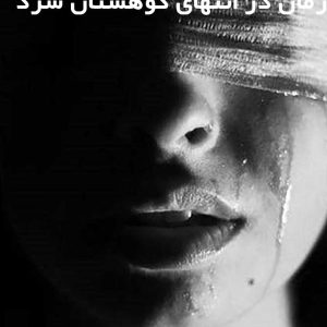 دانلود رمان در انتهای کوهستان سرد