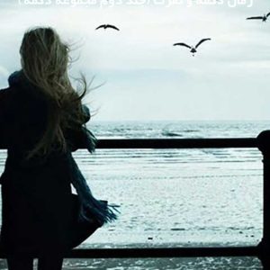 دانلود رمان دکمه و نفرت (جلد دوم مجموعه دکمه)