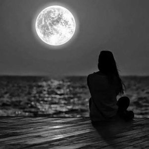 دانلود رمان شبیه یک مرداب