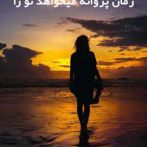 دانلود رمان پروانه میخواهد تو را